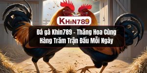 Đá Gà KHIN789 – Thăng Hoa Cùng Hàng Trăm Trận Đấu Mỗi Ngày