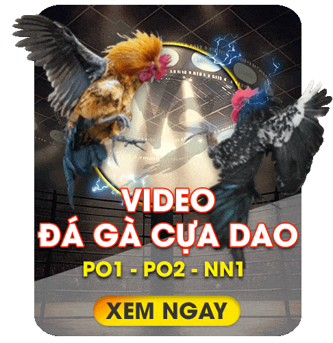 dagacuadao-khin789