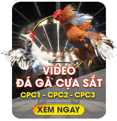 dagacuasat-khin789