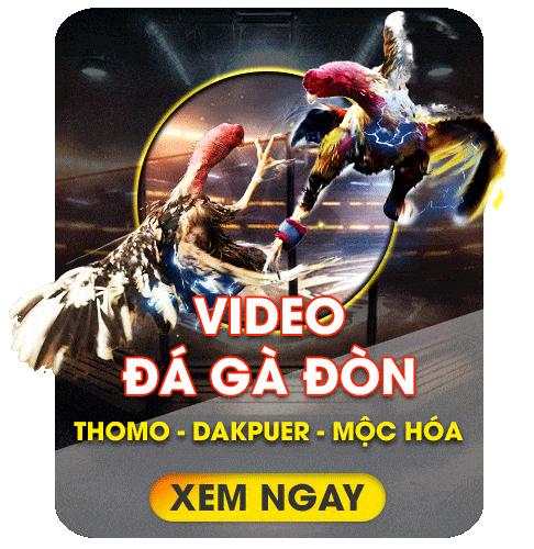 dagadon-khin789