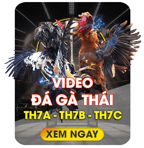 dagathai-khin789
