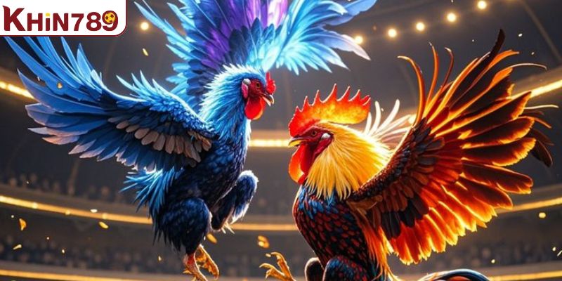 Hướng dẫn người mới bắt đầu tại KHIN789 chuẩn xác