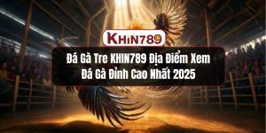 Đá Gà Tre KHIN789 Địa Điểm Xem Đá Gà Đỉnh Cao Nhất 2025