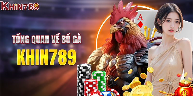 Bồ gà KHIN789 - Thiên đường chọi kê hấp dẫn