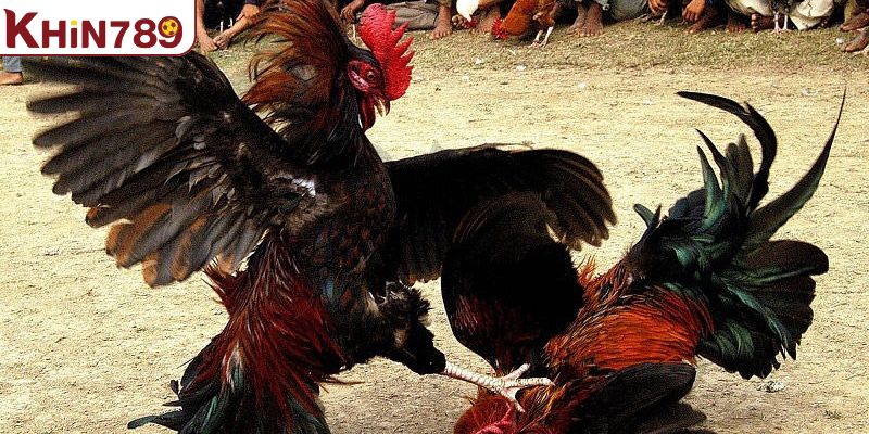 Nên lựa chọn thời điểm vàng để tiến hành đặt cược 