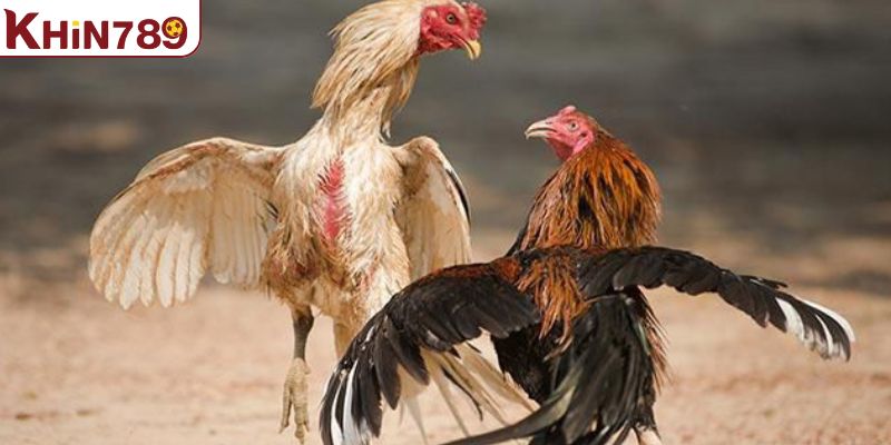 Sử dụng thêm các loại thức ăn tươi mới