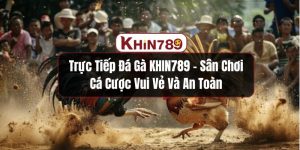 Trực Tiếp Đá Gà KHIN789 - Sân Chơi Cá Cược Vui Vẻ Và An Toàn